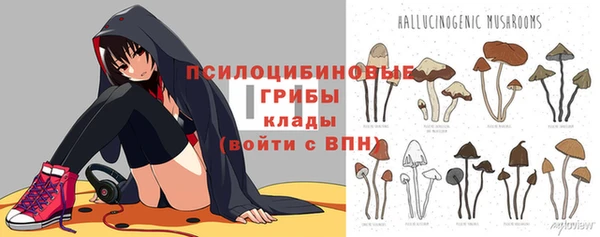 ECSTASY Бугульма